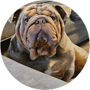 Hayden__ 1. profile picture