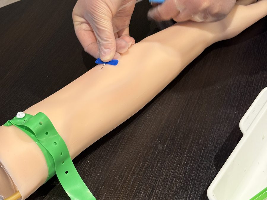 Venepuncture with a tourniquet applied to the practice arm