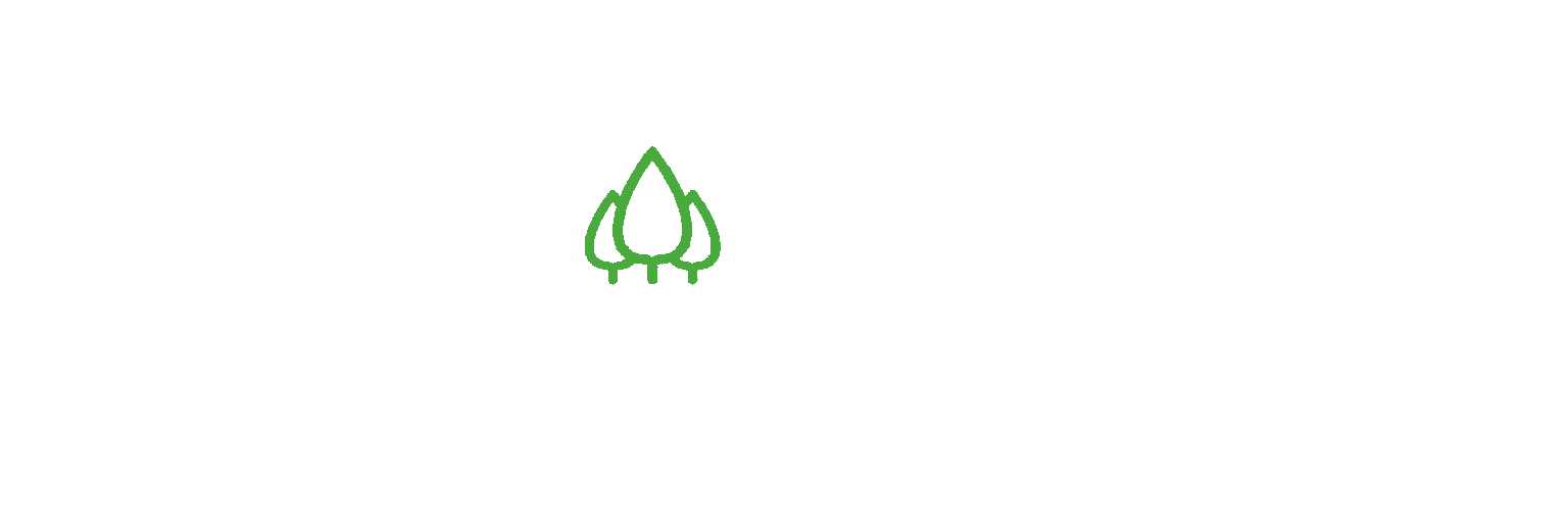 Orchard Rock Training